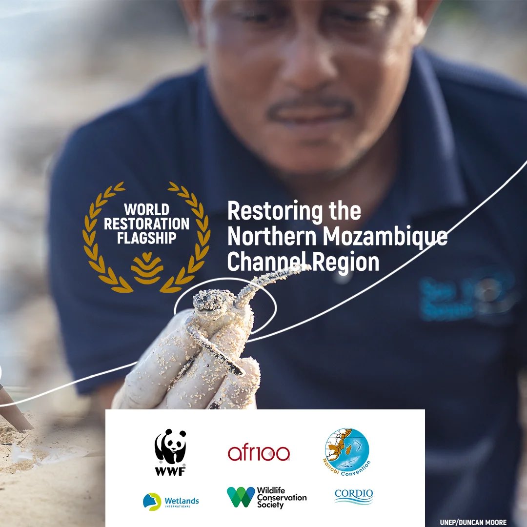 🌊 East Africa’s Ocean Restoration Efforts Earn Global Recognition 🌍

The United Nations has officially recognized East Africa’s efforts to reverse ocean degradation as one of this year’s World Restoration Flagships under the UN Decade on Ecosystem Restoration.

🏅Announced at