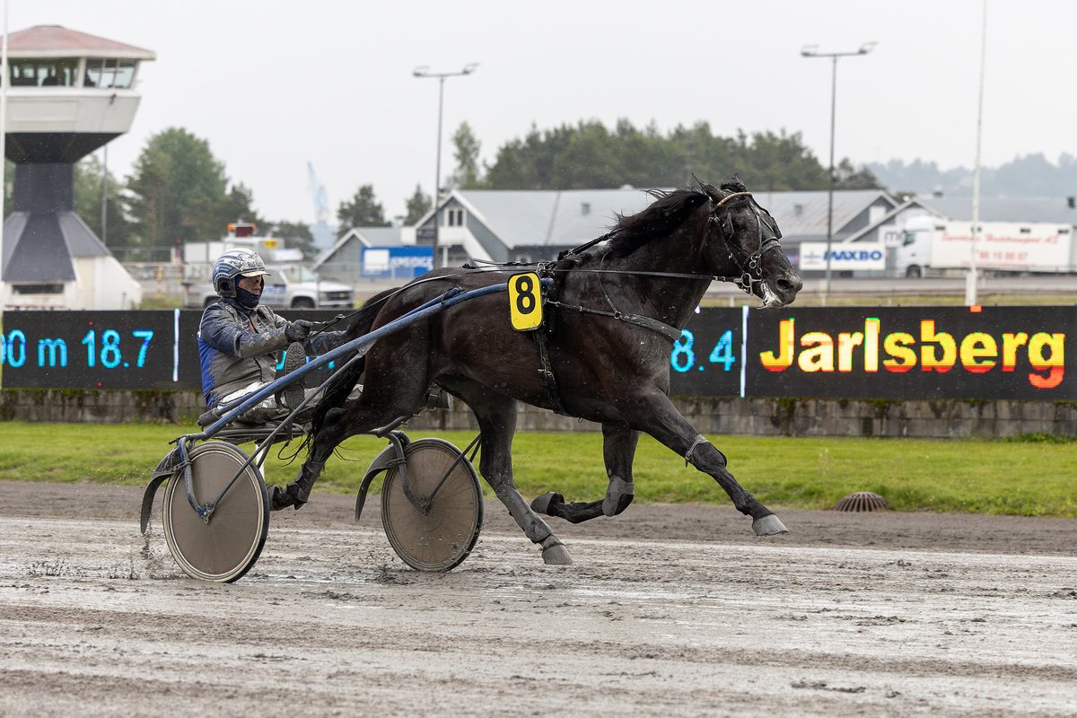 Stall Hamre (@hamrestall) on Twitter photo 10.06: En ordentlig regntung bane på Jarlsberg i går, men hestene skinte. Lazer er en fersk 3-åring som etter noen fine innsatser fikk sin første seier. En fortjent seier ble det også til Luckisanattitude som har vist form lenge uten å få vinne løp. Bak han sikret Athletic Sun 10.06: En ordentlig regntung bane på Jarlsberg i går, men hestene skinte. Lazer er en fersk 3-åring som etter noen fine innsatser fikk sin første seier. En fortjent seier ble det også til Luckisanattitude som har vist form lenge uten å få vinne løp. Bak han sikret Athletic Sun