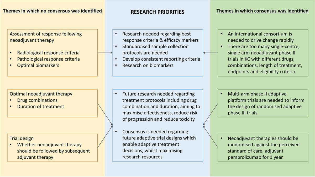 Annals_Oncology's tweet image. 🆕 article in press: What is required to deliver practice changing neoadjuvant trials in kidney cancer? An International Neoadjuvant Kidney Cancer Consortium Delphi study
doi.org/10.1016/j.anno…