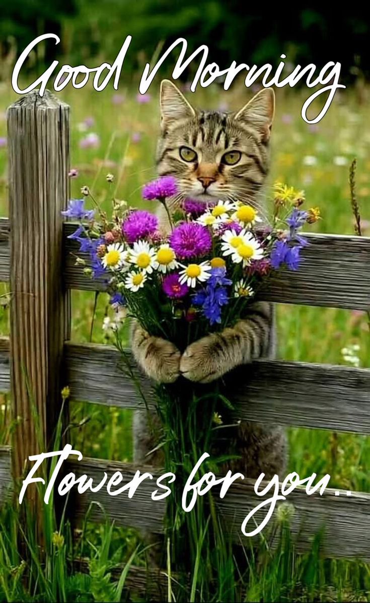 💜💐HAPPY WEDNESDAY EVERYONE💐💜

Wednesday ~ a day for kindness, caring, &amp; 
compassion for ALL. Do not forget to wear your 
Humanitarian boots!
Love, friendship &amp; goodwill always 
Enjoy your day with all vitality 
Love hugs &amp; blessings always
🐱🐶🐴❣️❣️❣️~🥰💜💜💜🤗🌹🕊️