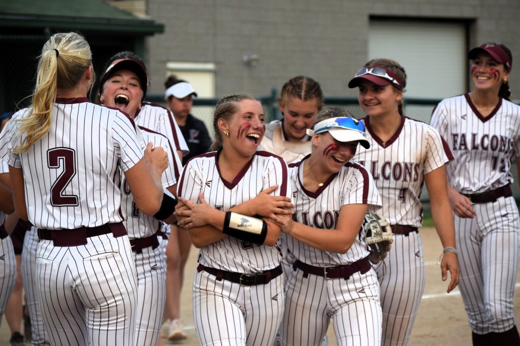 Final Ford: Falcons beat Grosse Pointe South in state quarterfinal trib.al/X5UcBQw