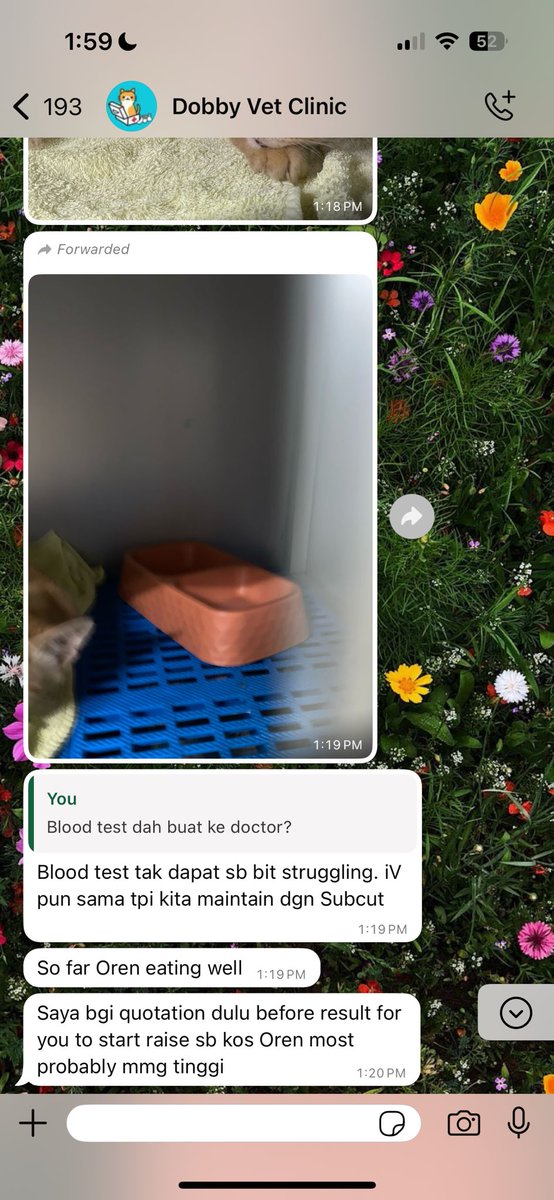Doctor tak dpt proceed lg dgn blood test sbb agak struggling. Even iv drip dr hari pertama pn tak dpt. tp doctor subcut lah. Tolong doakan oren kuat ya. Insyallah niat i nak bantu dia. Harap kita semua pn dpt bantu dia 😢