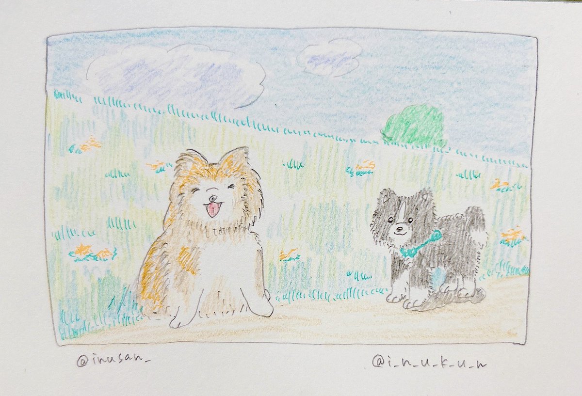 ありがとう

x.com/inusan__/statu…