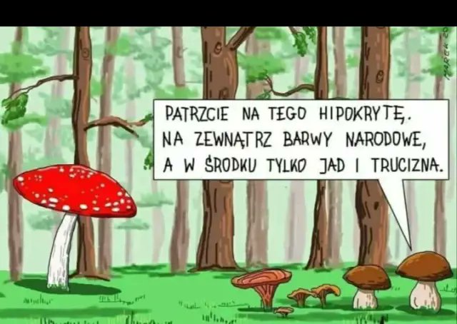 GtJCgCmXkAAM5JA?format=jpg&name=small