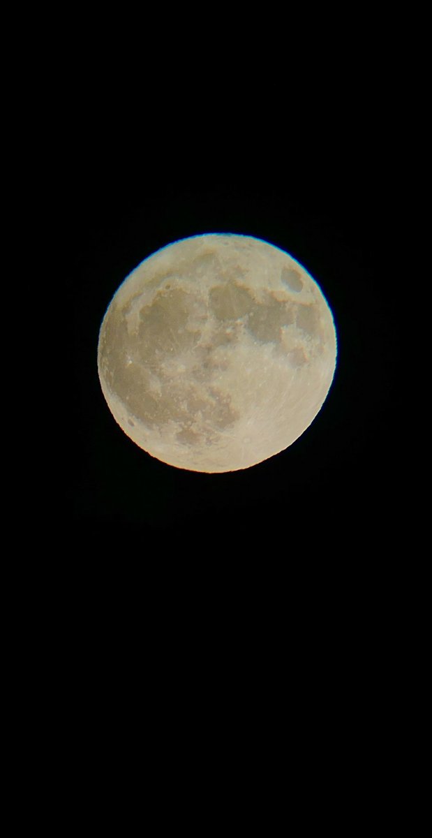 ZacharyBookClub's tweet photo. Strawberry Moon! Telescope + iPhone https://t.co/sbZXF6YRcc