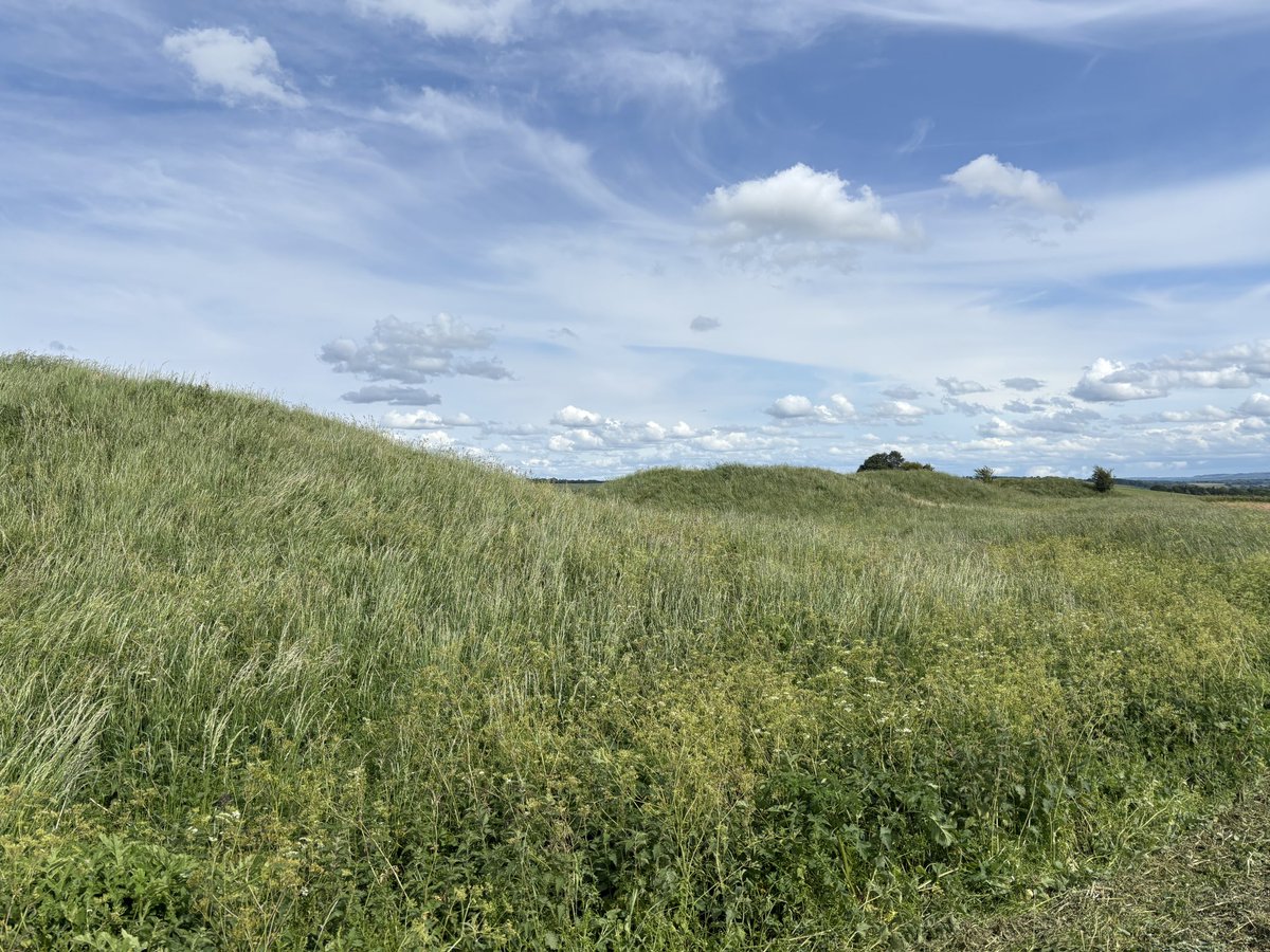 LisaPerfidious's tweet photo. Four barrows, and the view from atop one of them. Basically four lowish humps by a field. But also thousands of years of human engagement with the landscape and death. Marvellous space.
#naturewalktothebus https://t.co/54rcbNKeY6