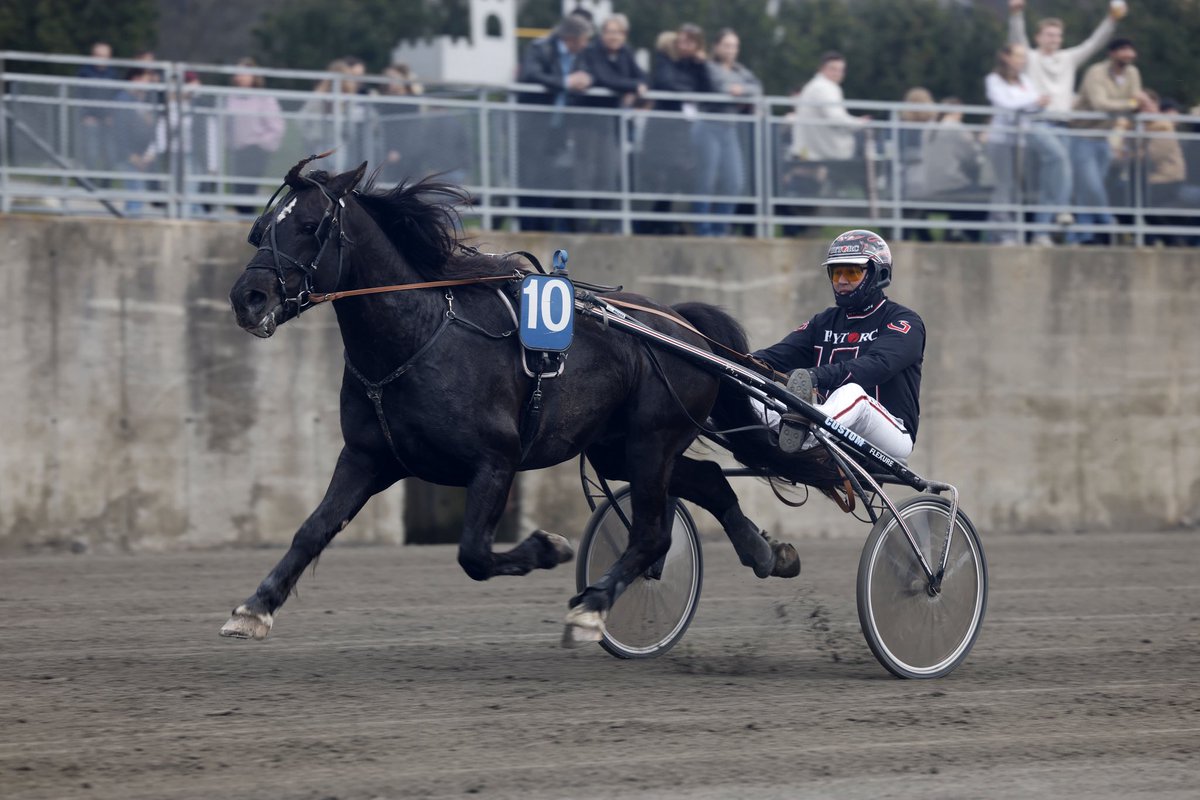 Jackpot på V86. Är Goroso Sjaman en vinnare i V86-6? ”Springer 1.26”, berättade tränaren för oss 🇳🇴
travtjansten.se
