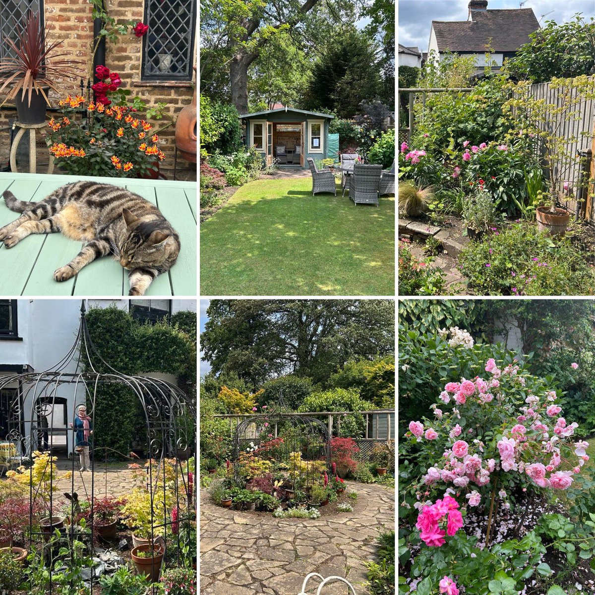 Huge thanks to all those - 450+ people! - who attended the Secret Gardens of Thames Ditton on Sunday afternoon. Over £3,400 was raised for the Christmas lights fund and the Garden of Remembrance at St Nicholas Church. <a href="/TDResidents/">TDWG Residents</a>