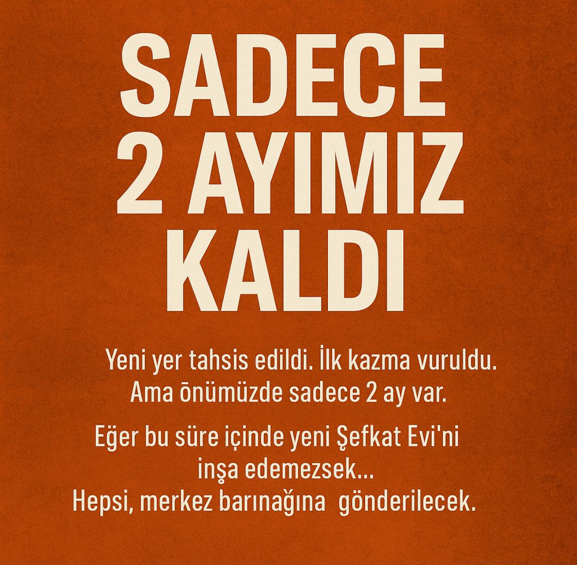SADECE 2 AYIMIZ KALDI.
Yeni yer tahsis edildi.
İlk kazma vuruldu.
Ama zamanımız yok.

Eğer 2 ay içinde yeni Şefkat Evi’ni inşa edemezsek…
Onlar, isimlerini kaybedecekleri o “merkez barınağa” gönderilecekler.

Masal yarım kalmasın.
🐾 
#CilavuzŞefkatEvi #BahtiyarMasalı