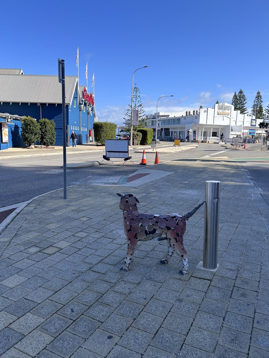 freopics_'s tweet photo. Just a few more pics. I really loved the stillness today. Got to explore so much more and also met some friendly faces.
#infreo #freolove #freopics #fremantle https://t.co/MwROzCduM1