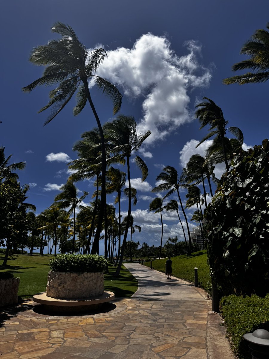 dutzy0126's tweet photo. Struggling to find the words to describe how I feel after a beautiful few days in Hawaii with some amazing folks who are all working hard to level up in life and let go of limiting beliefs. https://t.co/E7G7kCOO85