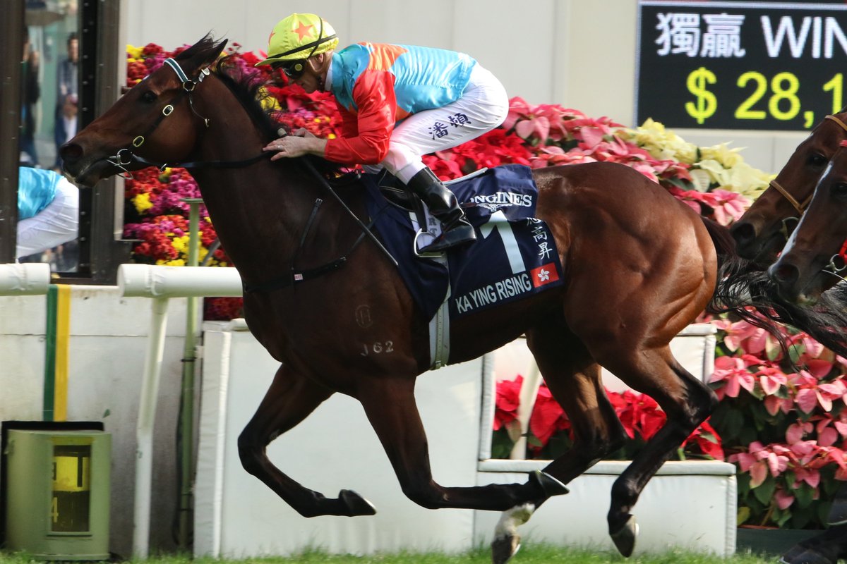 "I’d certainly be planning, if it worked, to do it again."

Ka Ying Rising's trainer David Hayes has set out the champion HK sprinter's #TABEverest path, including a Sydney public trial, and says it may not be his only shot at the race. 📸Grant Guy

READ: tinyurl.com/pmkcbd27