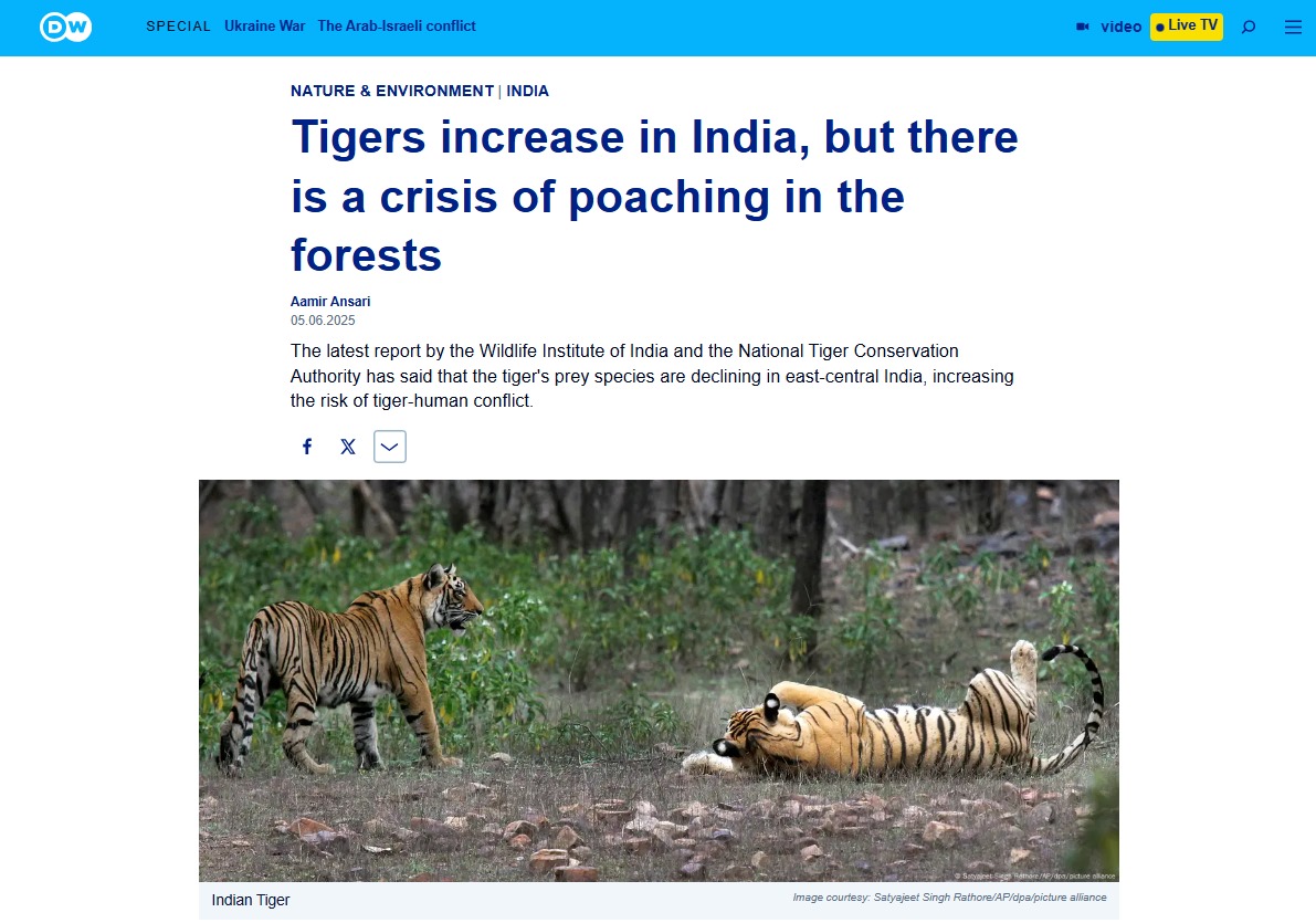 At Wildlife SOS, we see the hidden struggles behind India’s tiger success story. Learn more about how local indigenous participation is key to conservation: dw.com/hi/shrinking-p… 

Thank you, <a href="/dwnews/">DW News</a>, for bringing this to light.