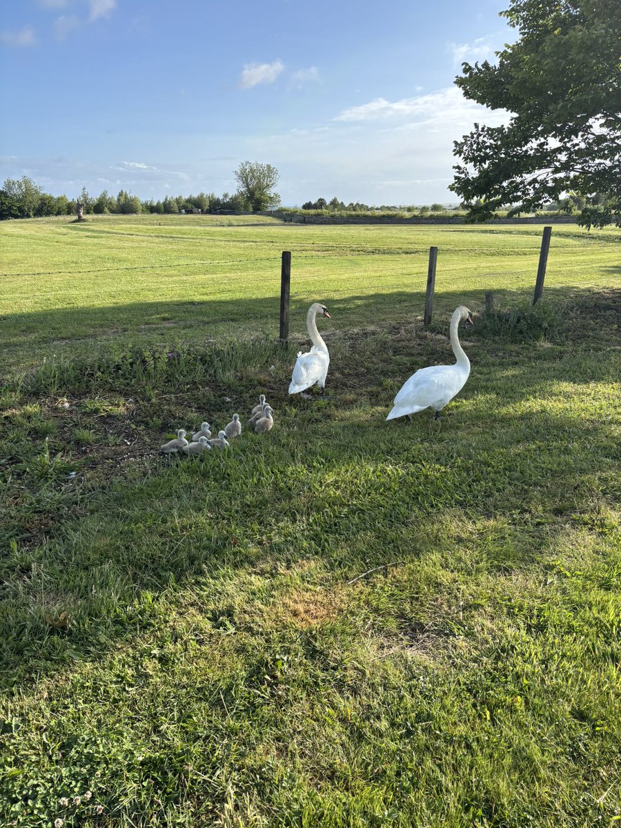 Keep it simple….

Sometimes, the best thing you can do is pause.
Not quit. Not push.
Just breathe. Rest. Listen.
And wait for your clarity to return.