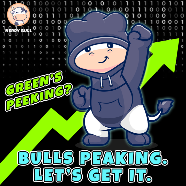 Nerdy Bull tweet media