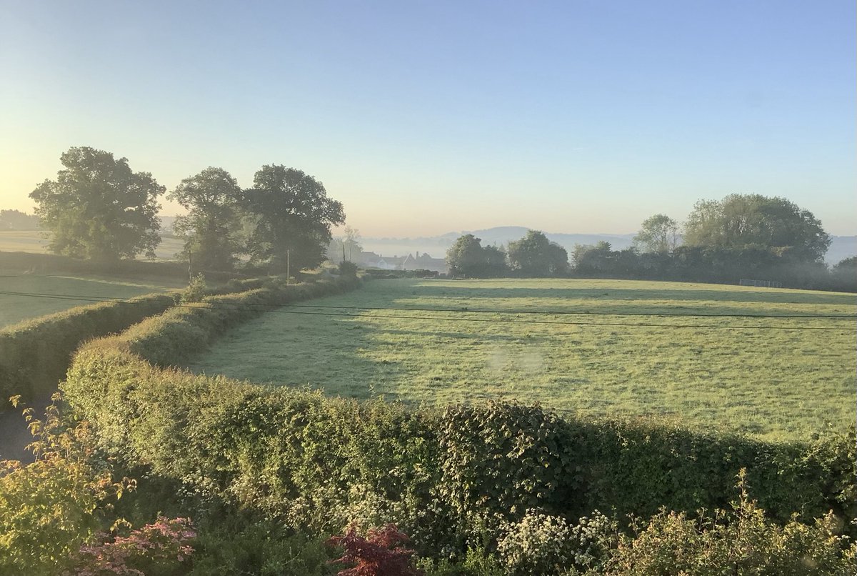 Good morning from the #WelshMarches. Summer has returned.