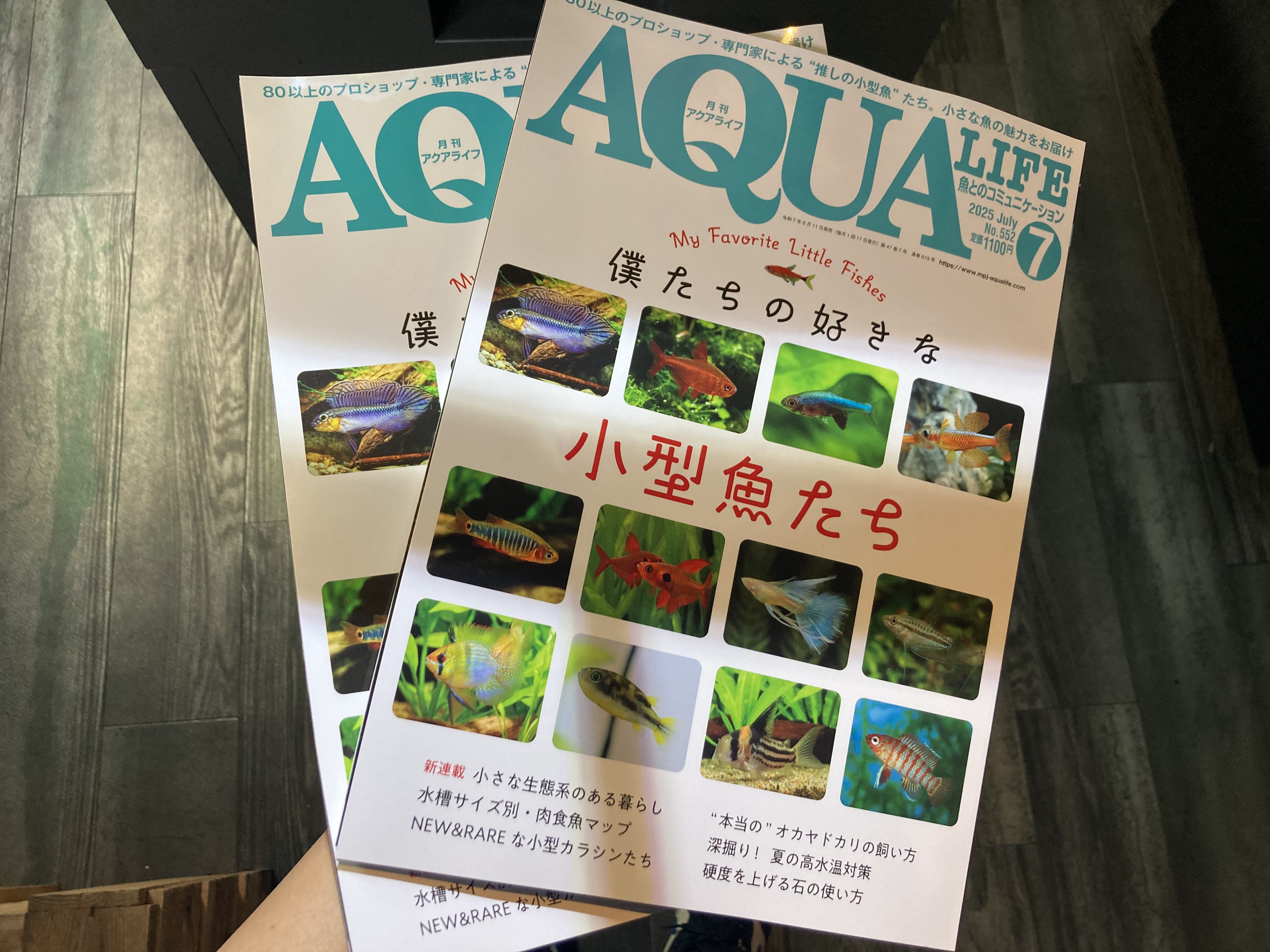 希少稀な Aqua Focus  X: on アクアフォーカス 趣味