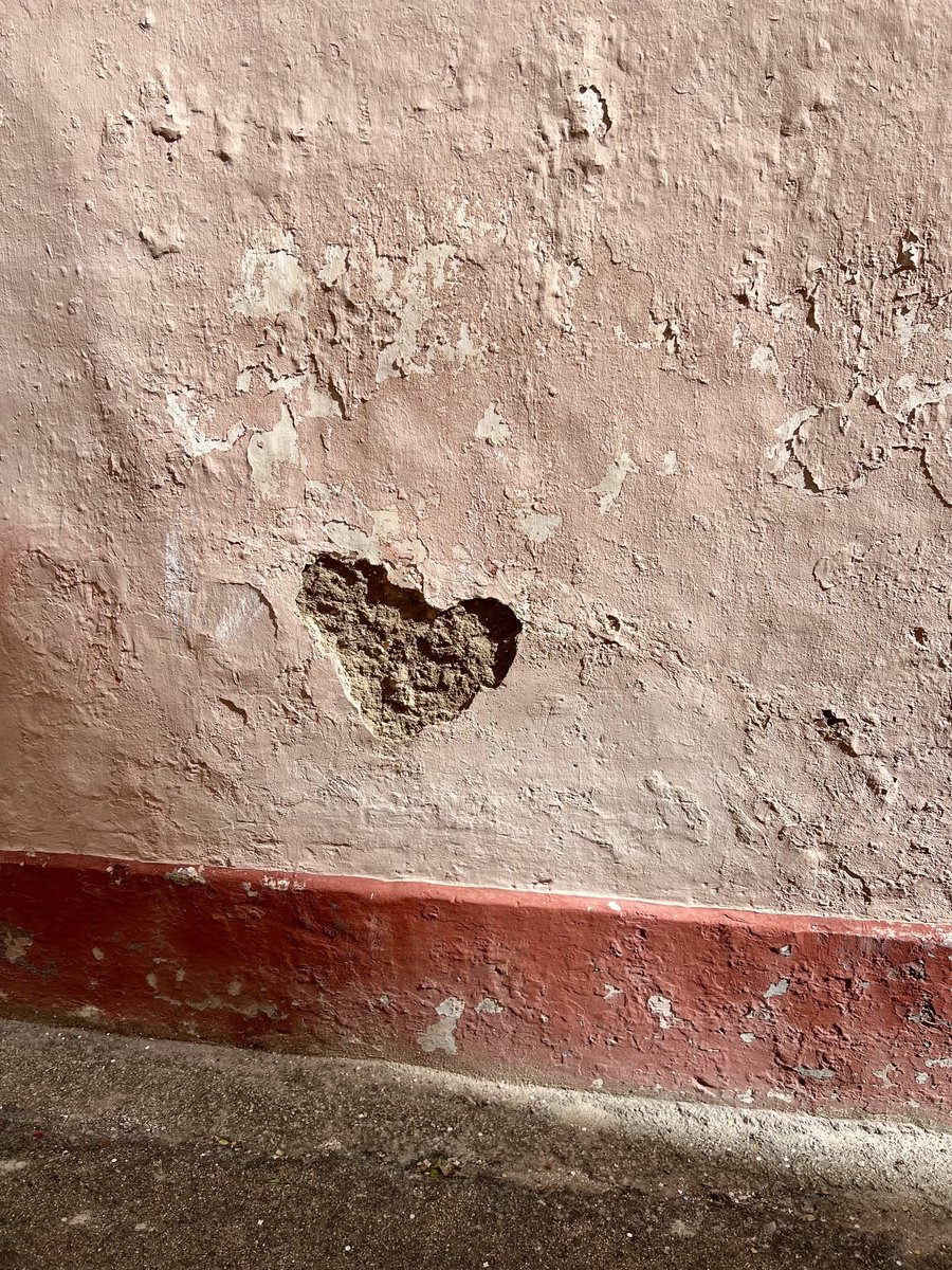 #WallsOnWenesday