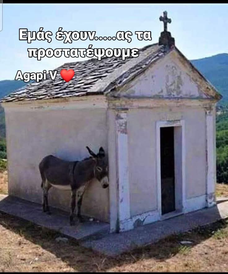 Τα φροντίζουμε 🐴🐴🐴🐴🐴🐴🐴🐴🐴🐴🐴🐴🐴🐎🐎🐎🐎🐎🐎🐎🐎🐎🐎🐎🐎🐎🐎🐎🐎🐎❤❤❤❤❤❤❤❤❤❤❤❤❤❤❤❤❤❤❤❤❤❤❤❤❤❤❤❤❤❤❤❤❤