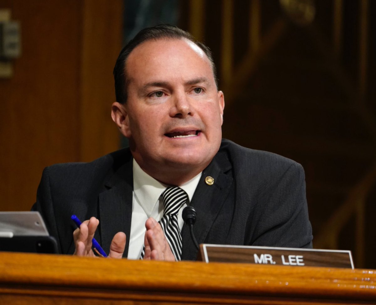 Do you agree with Mike Lee saying anyone funding Los Angeles riots should be charged with Treason ?

YES or NO ?
