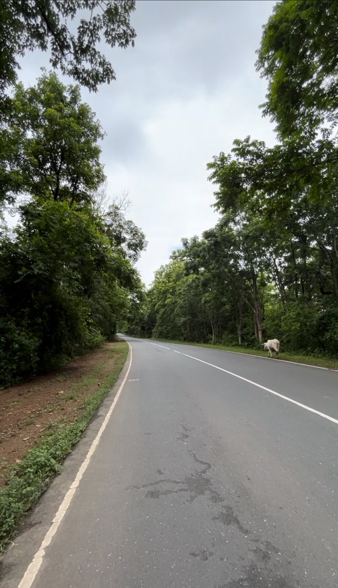 dashman207's tweet image. Please Come to #Odisha and check the rural State Roads built by @Naveen_Odisha 

#OdishabyRoad