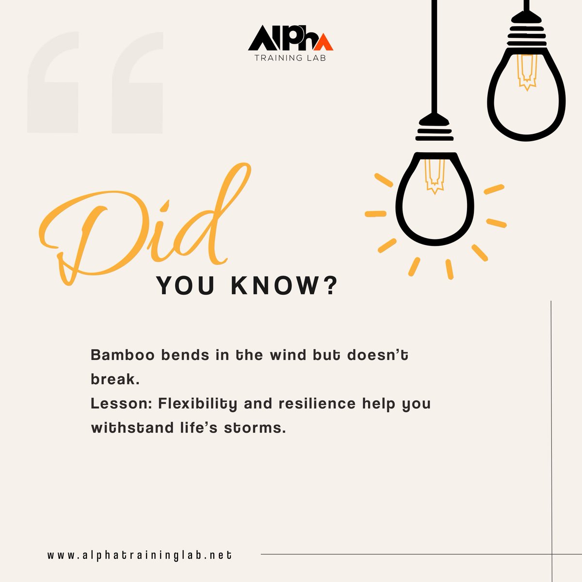 AlphaTrainingL's tweet image. Did you know 💡?
#FunFactWednesday
#AlphaTrainingLab