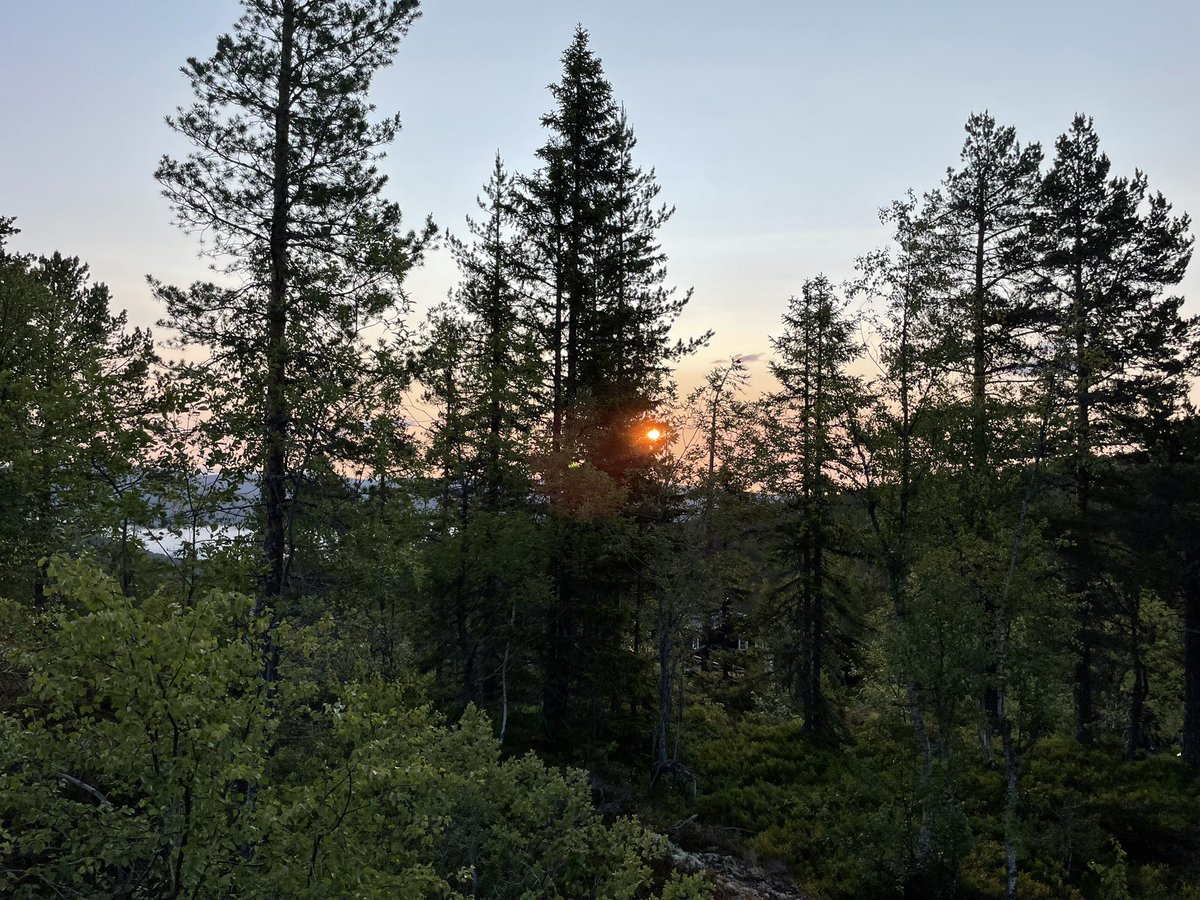 A lovely morning 04.45. Have a nice day😊💕🦋