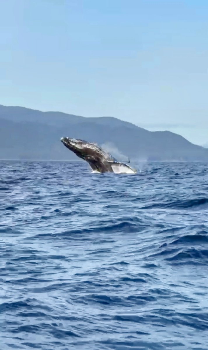 Dave Albright tweet media