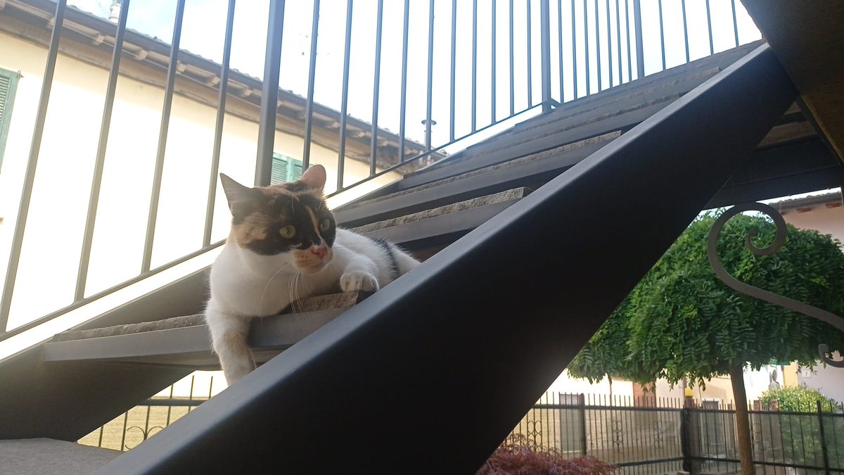 Latitudine45°16'D tweet media