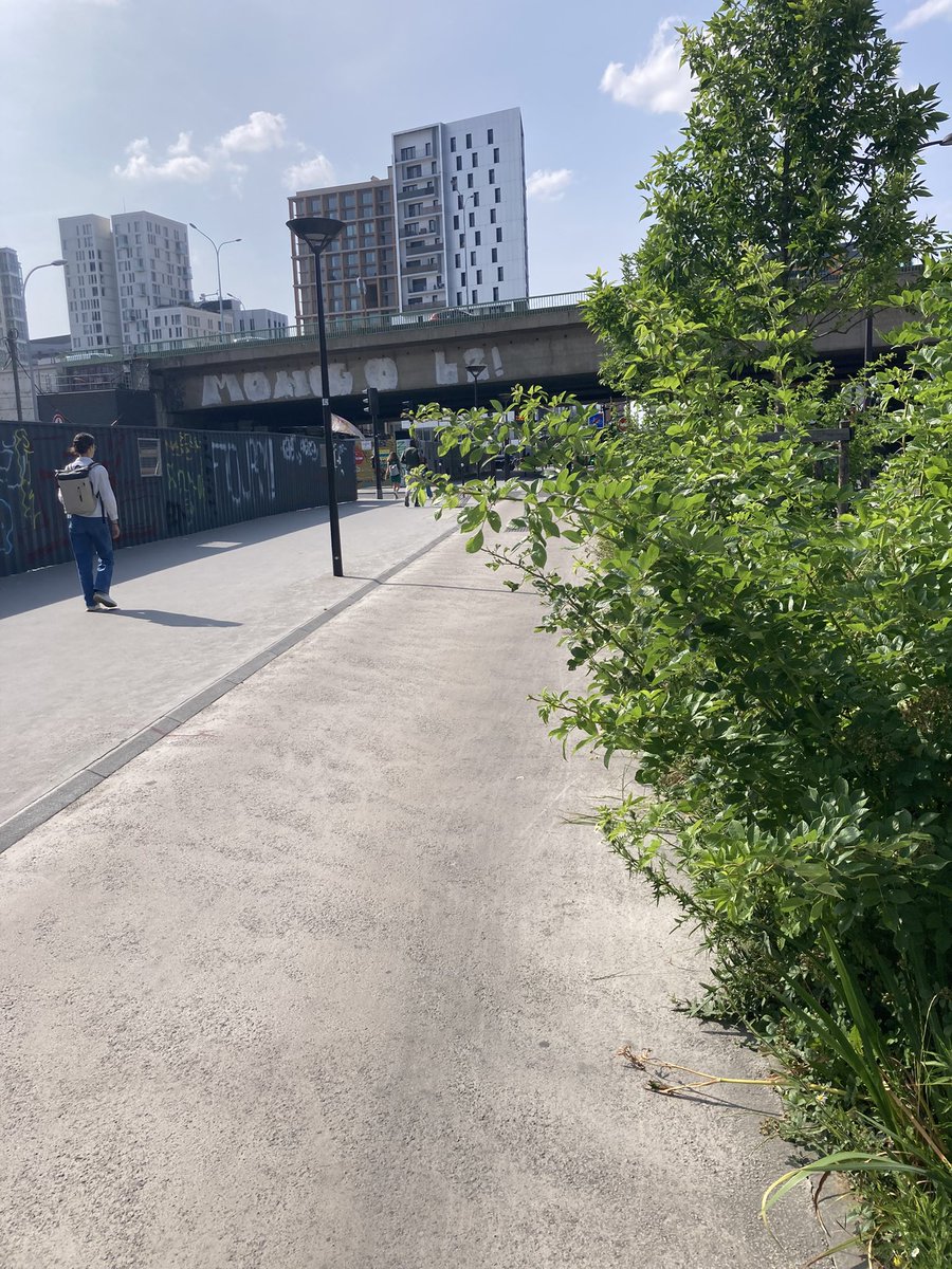 Bjr <a href="/AntoineGuillou/">Antoine Guillou</a> Pourriez-vous svp faire tailler la végétation sur la piste 🚲 bidirectionnelle du quai d’Ivry de l’école d’architecture á Ivry ? Il y a des branches avec des épines qui débordent d’un mètre. Merci.