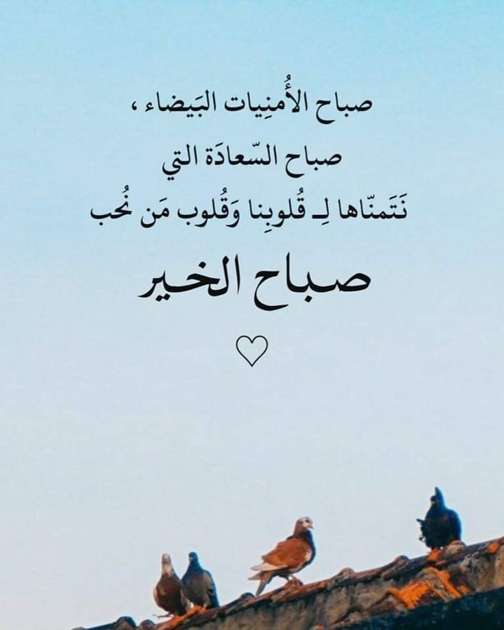 هُدُوء | سُكُون (@wn194) on Twitter photo 