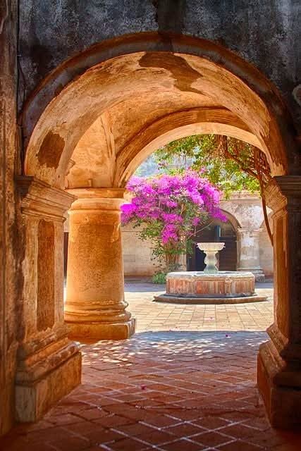 Manolohispali's tweet photo. Buenos días ☕🌿 https://t.co/JkfnetiYko