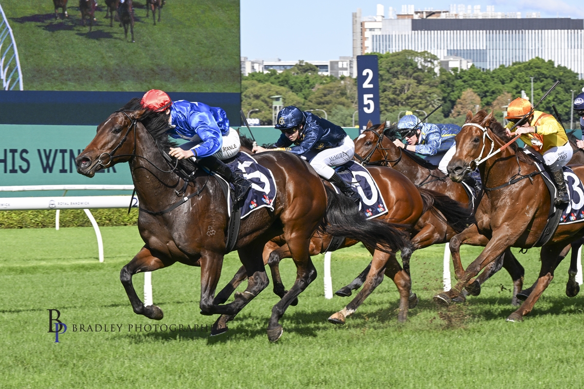 PRIME THOROUGHBREDS (@joefromprime) on Twitter photo Prime Thoroughbreds runners this weekend Flying Embers in the Gunsynd Classic at Eagle Farm, Flattered at Sandown, Smashing Nova at Muswellbrook for <a href="/JTRacingRwik/">John P Thompson</a> <a href="/mj_payne/">Michelle Payne</a> <a href="/Leesracing/">Lees Racing</a> All <a href="/mmsnippets/">Magic Millions</a> purchases. Good luck to each of them!!! <a href="/RSN927/">RSN Racing & Sport</a> <a href="/Racing/">Racing.com</a> <a href="/mitchellbstock/">Mitchell Bloodstock</a> Prime Thoroughbreds runners this weekend Flying Embers in the Gunsynd Classic at Eagle Farm, Flattered at Sandown, Smashing Nova at Muswellbrook for <a href="/JTRacingRwik/">John P Thompson</a> <a href="/mj_payne/">Michelle Payne</a> <a href="/Leesracing/">Lees Racing</a> All <a href="/mmsnippets/">Magic Millions</a> purchases. Good luck to each of them!!! <a href="/RSN927/">RSN Racing & Sport</a> <a href="/Racing/">Racing.com</a> <a href="/mitchellbstock/">Mitchell Bloodstock</a>
