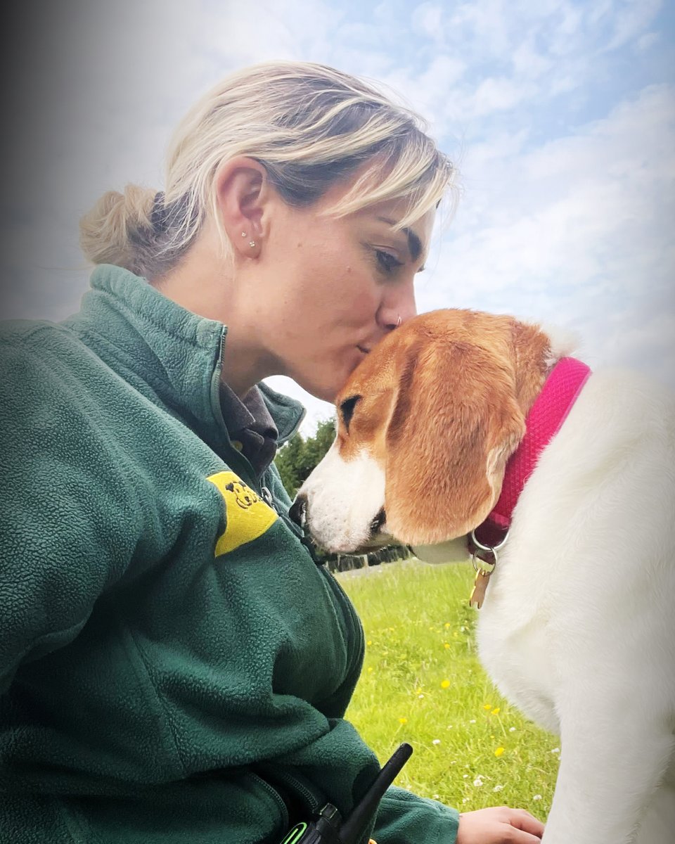 A #MidweekMindfulness moment with Honey and Rachel. 🥰

Moments like this remind us just why #dogs are so special.
Their #UnconditionalLove and trust is why we do what we do. 💛

#RescueDog #Midful #Mindfulness #MidweekMotivation #BestFriend #PicOfTheDay #DogOfTheDay <a href="/DogsTrust/">Dogs Trust 💛🐶</a>