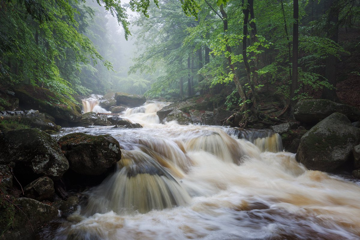 Flooded creek