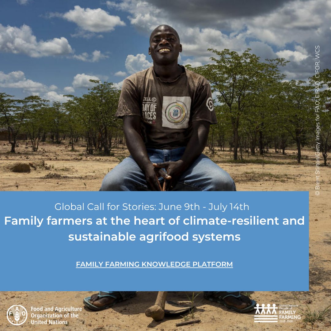 FAOFFKP's tweet image. Enjoy telling stories? ❤️

🤝 Help us show how family farmers are leading the way in building climate-resilient &amp;amp; sustainable agrifood systems! 

Share your story👉 tinyurl.com/yazrvfft

#FamilyFarming #ClimateChange