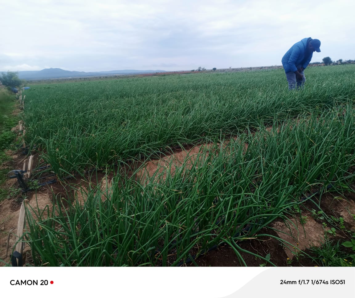 Soil Fertility Clinik Kenya tweet media