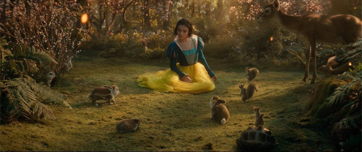 Positions Sunhine tweet media