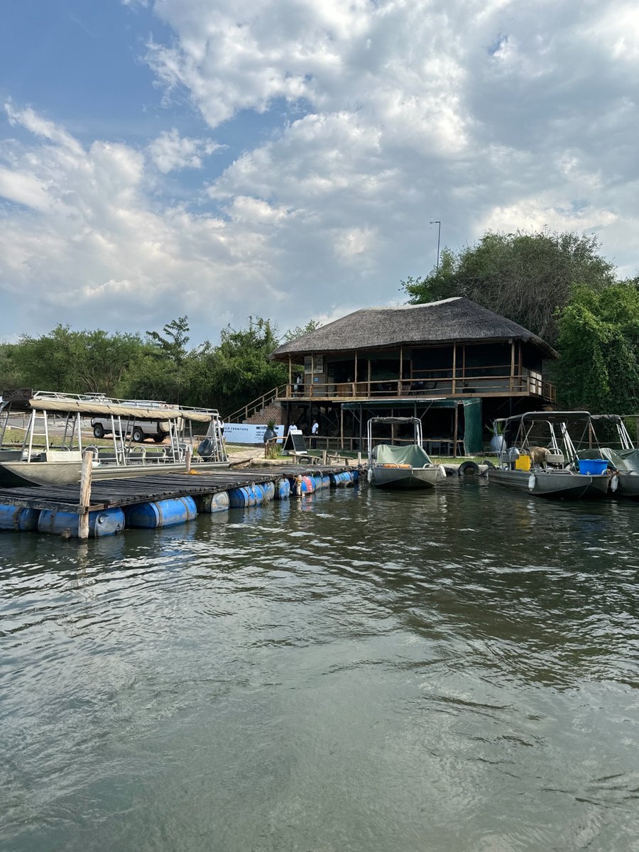 nyanasafaris's tweet image. :
💦 Murchison Falls – Where the Nile Roars!
Brace yourself for the world’s most powerful waterfall — Murchison Falls, where the Nile squeezes through a 7-meter gap and explodes into thunder.
🦁 Game drives through savannah plains
🦛 Nile boat cruises with hippos & crocs
🦅…