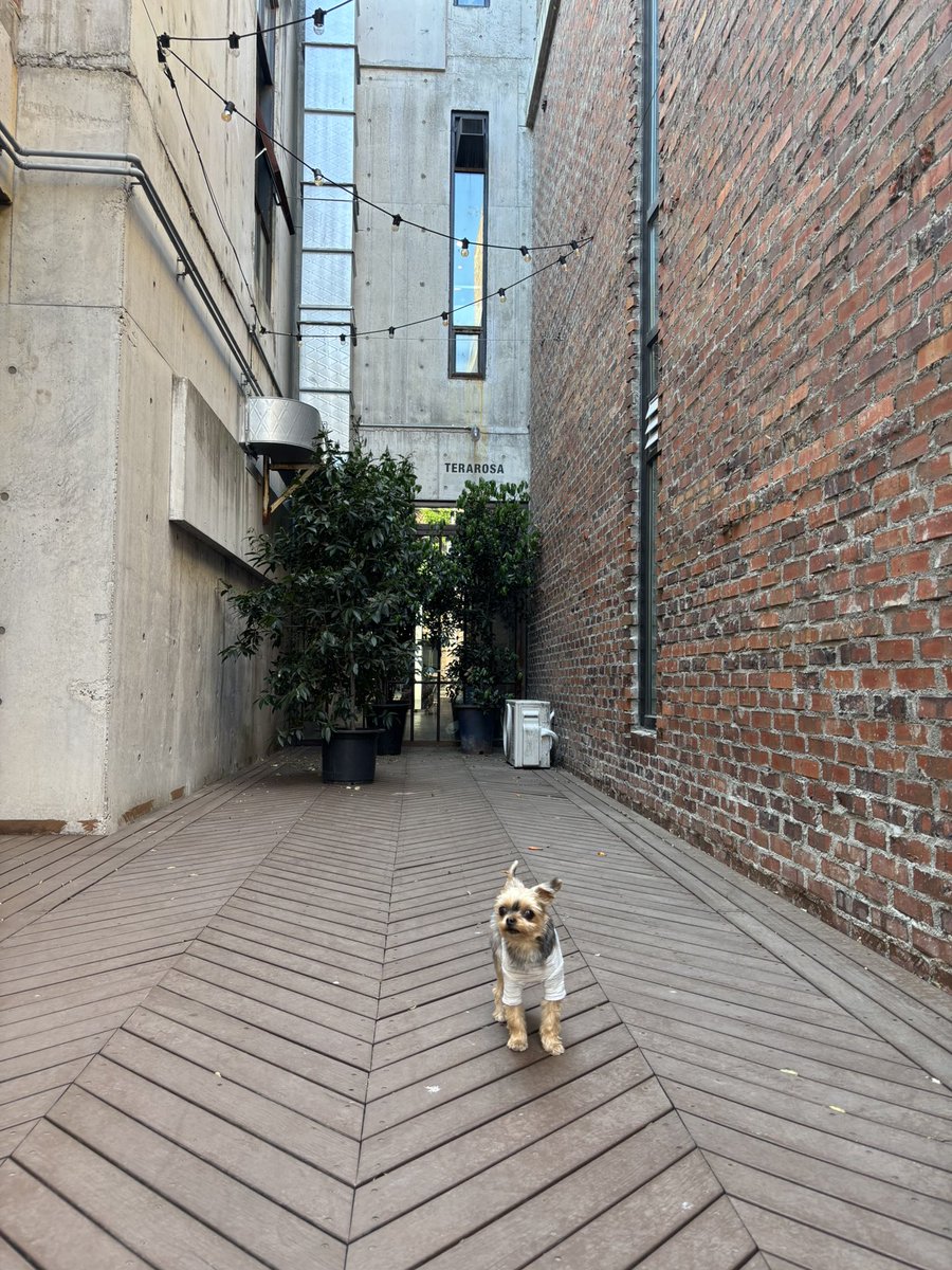 강릉에 커피 한잔하러 온 앙리.