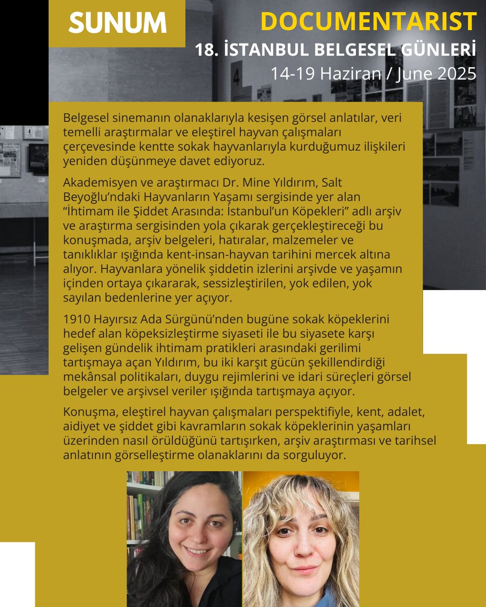Kaybolan Yaşamlar, Kalan Kayıtlar: İstanbul’un Köpekleri Arşiv Sergisi Üzerine

Belgeselin imkanlarıyla kesişen görsel anlatılar, veri temelli araştırmalar ve eleştirel hayvan çalışmaları kapsamında kentte sokak hayvanlarıyla kurduğumuz ilişkileri yeniden düşünmeye davet ediyoruz
