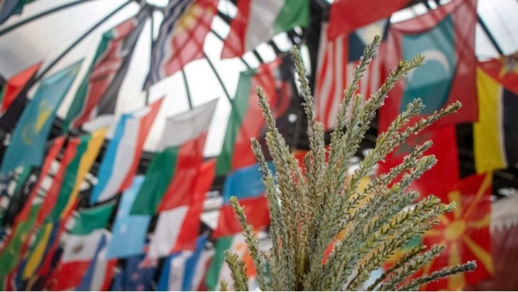 2025 may not feel like a year to celebrate 50 years of development research — but it's the right time to ask what next? 🤔
James Copeland reflects ahead of @cds_bath’s 50th anniversary &amp; hosting of #DSA2025.
📖 buff.ly/rYCNbFp