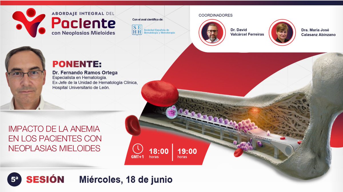 🗓️ SAVE THE DATE: 18 de Junio, 18:00 a 19:00h.

🩸 La 4ª edición del Curso Abordaje Integral para el paciente con Neoplasias Mieloides llega a su fin. Gracias por vuestra participación.

Os invitamos a la última sesión "Impacto de la Anemia en los pacientes con Neoplasias
