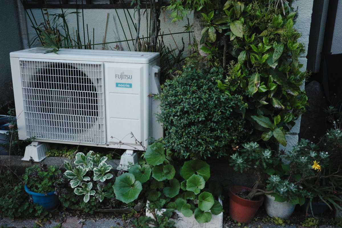 やわらか計画 (@yawaraka_plan) on Twitter photo 