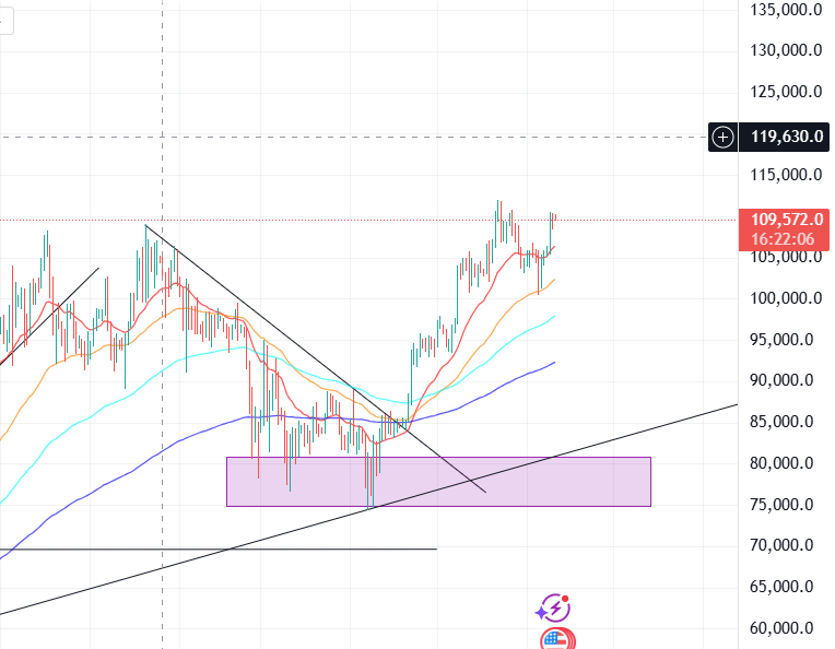 cryptobeelee's tweet photo. $btc to around $160,000 https://t.co/erzShQrtkw