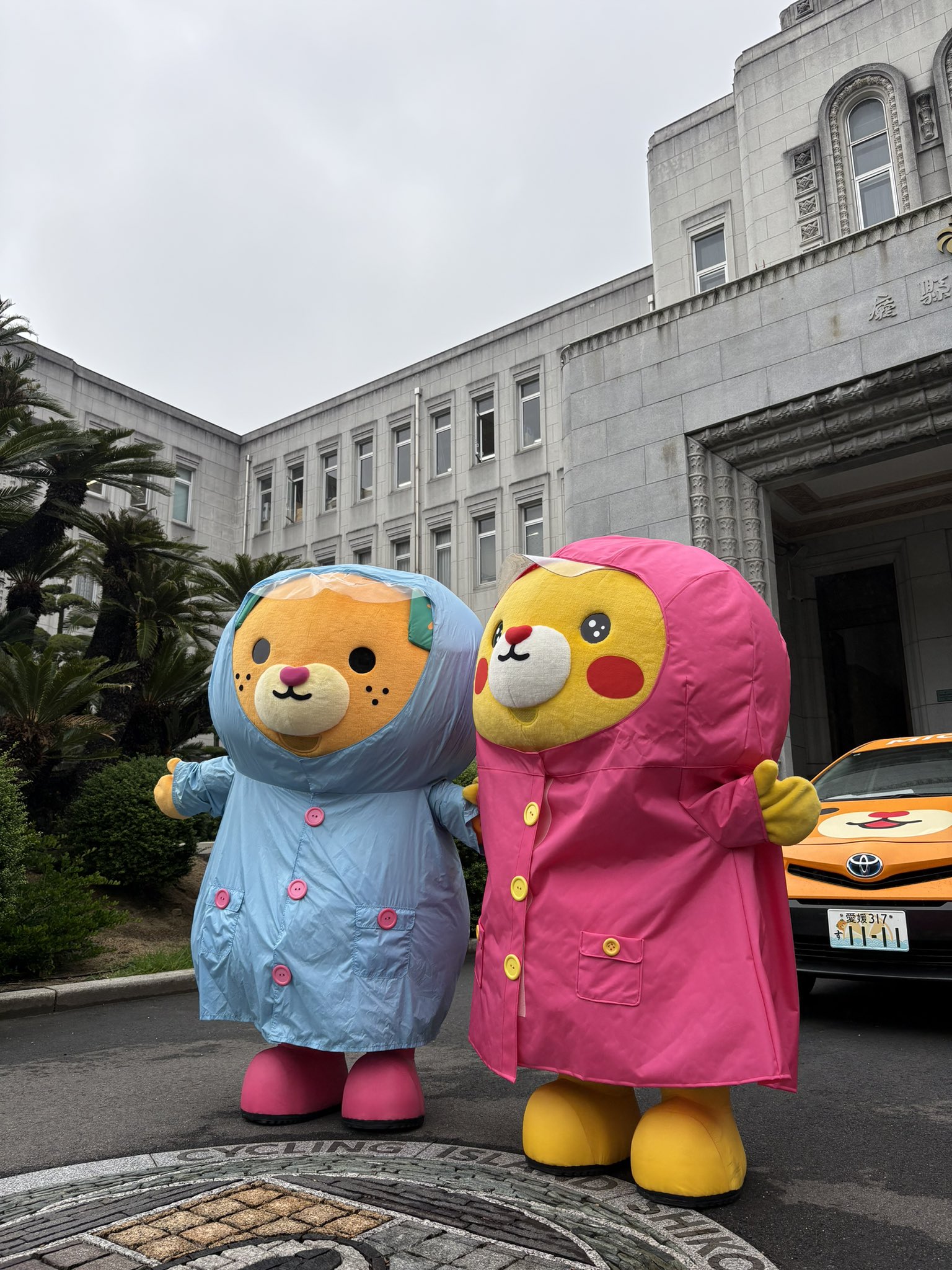 Amazon.co.jp: みきゃん ダークみきゃん ペンケース 筆箱 大容量