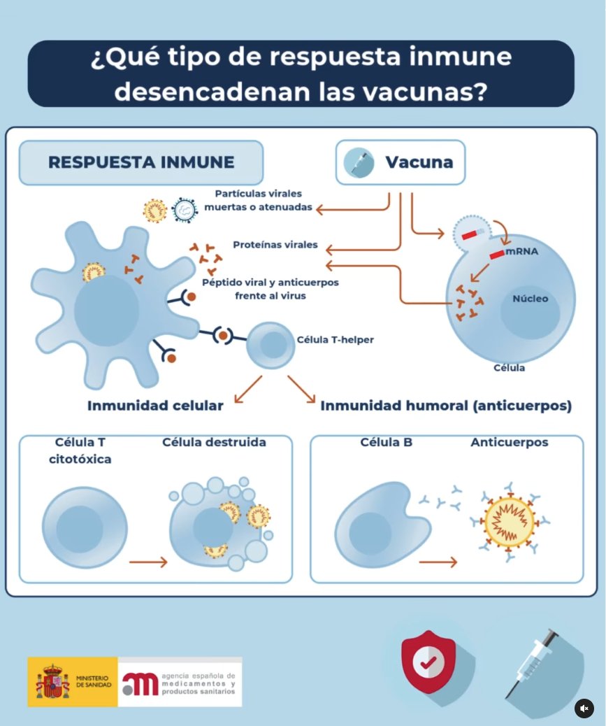 🤓 📖 Aprendemos sobre el mecanismo de funcionamiento de los distintos tipos de #vacunas con esta infografía de la <a href="/AEMPSGOB/">AEMPS</a>