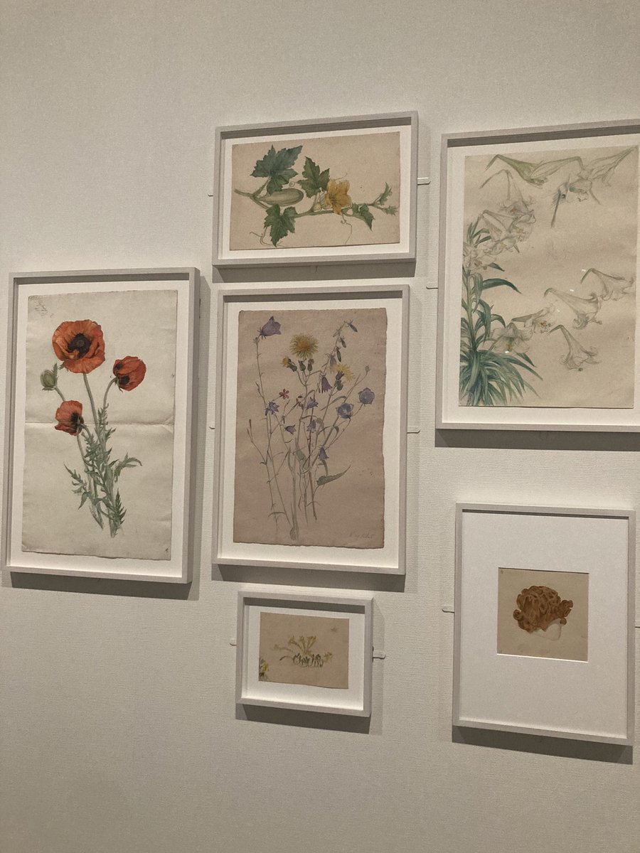 ヒルマ・アフ・クリント展へ
個人的には、アカデミックな教育を受けていた頃の植物の絵が好き。