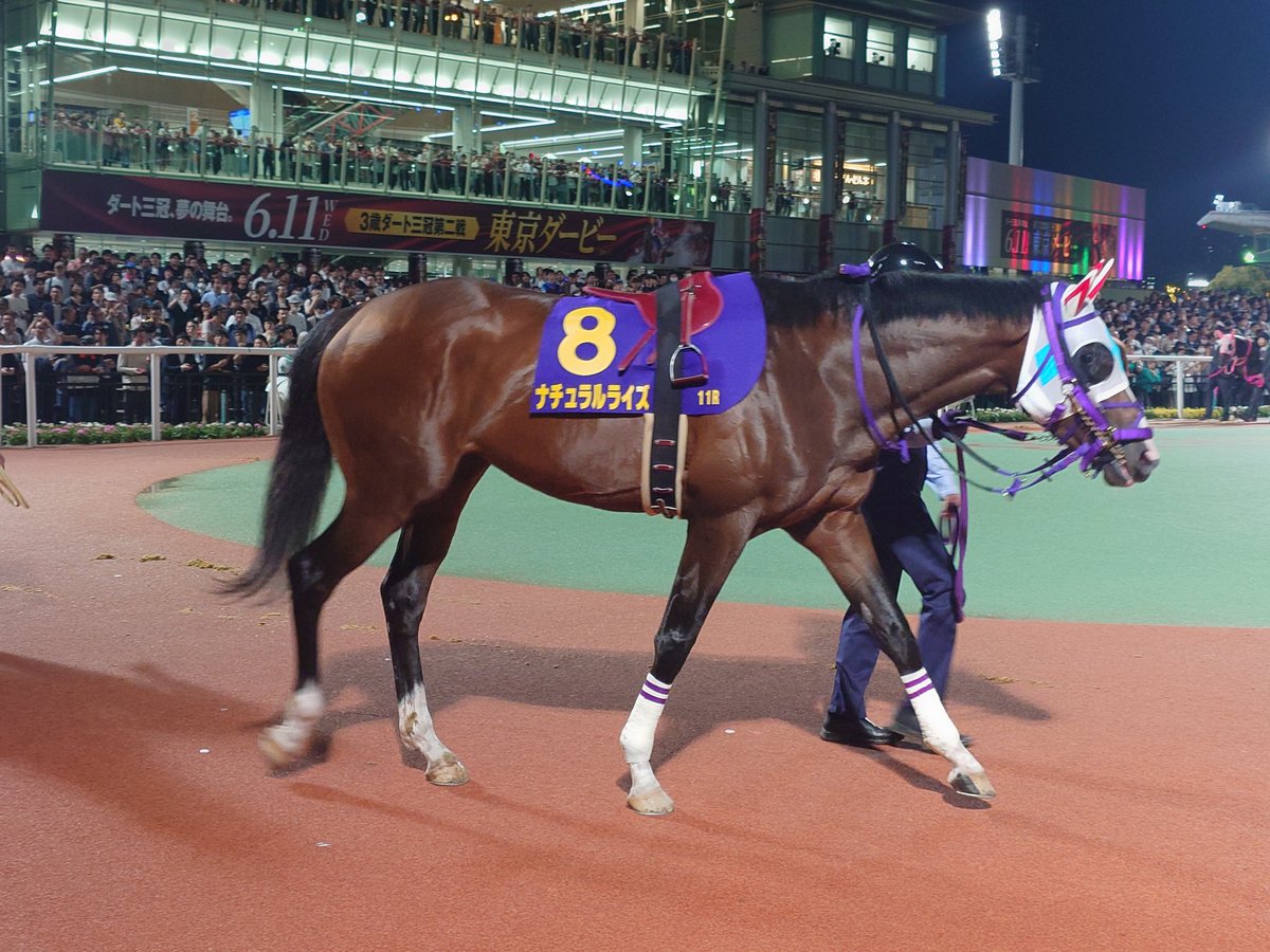さあ、東京ダービー