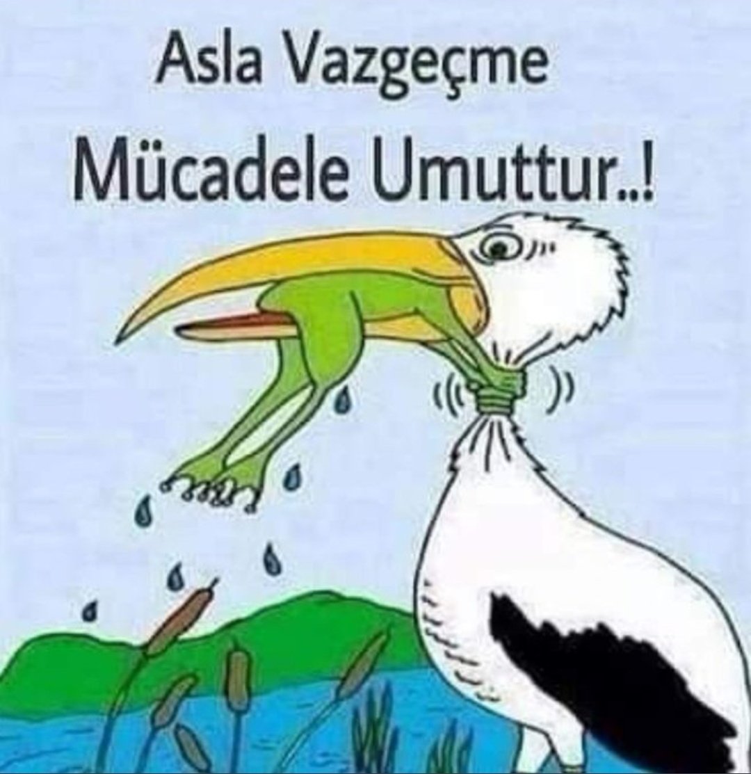 MURAT ÜNLÜ ⚖️ (@munlu184118) on Twitter photo Adalet sadece mahkeme salonlarında değil, çalışma hayatında da olmalı.
Kademesiz emeklilik, adaletsiz bir düzenin ürünüdür!
<a href="/EmadDernegi/">EMEKLİLİKTE ADALET DERNEĞİ ⚖️</a>
#AnayasaKademeDiyor Adalet sadece mahkeme salonlarında değil, çalışma hayatında da olmalı.
Kademesiz emeklilik, adaletsiz bir düzenin ürünüdür!
<a href="/EmadDernegi/">EMEKLİLİKTE ADALET DERNEĞİ ⚖️</a>
#AnayasaKademeDiyor
